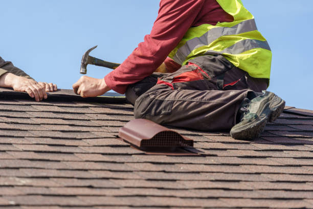 Best Metal Roofing Contractor  in Stony Point, MI