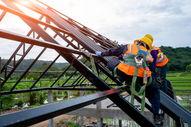 Gutter Installation and Roofing in Stony Point, MI