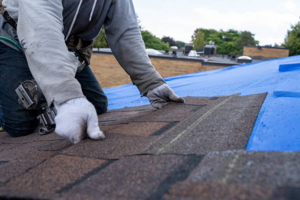 Best New Roof Installation  in Stony Point, MI