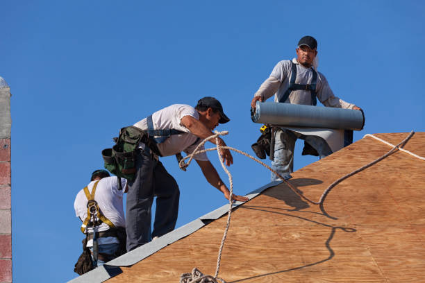 Best Residential Roofing Contractor  in Stony Point, MI