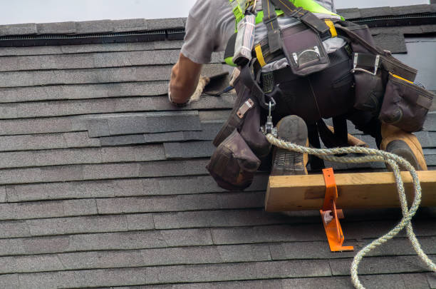 Professional Roofing Contractor in Stony Point, MI
