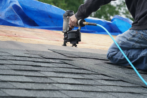 Quick and Trustworthy Emergency Roof Repair Services in Stony Point, MI