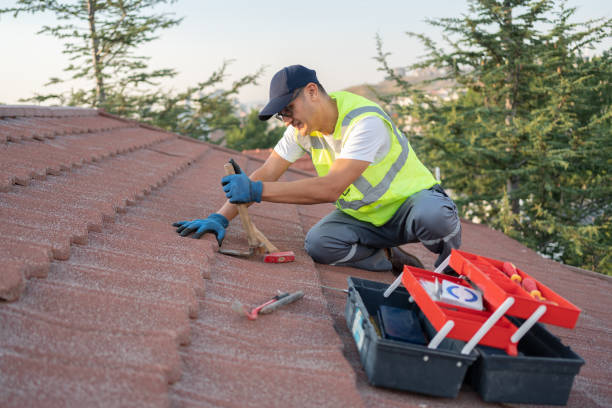 Best Slate Roofing Contractor  in Stony Point, MI