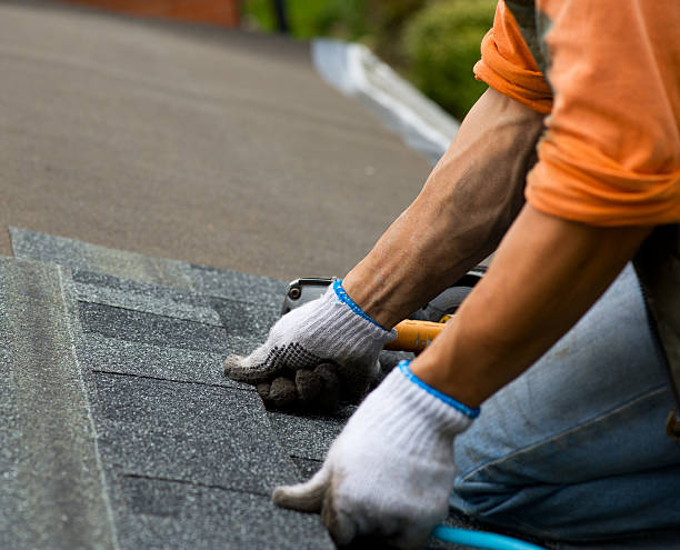 Best Roof Replacement Cost  in Stony Point, MI