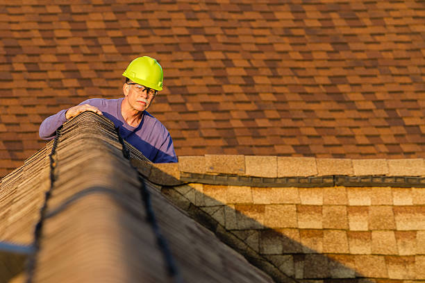 Best Roof Repair Services  in Stony Point, MI