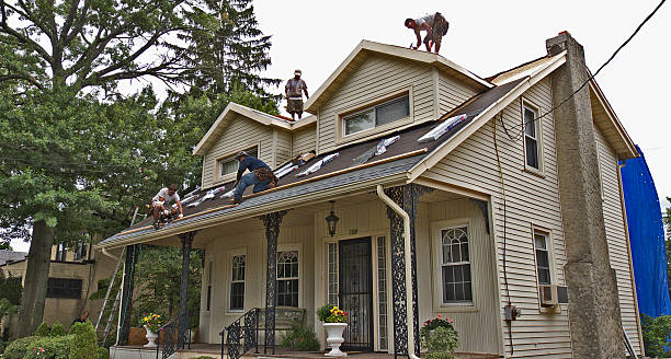 Best Roof Maintenance Services  in Stony Point, MI