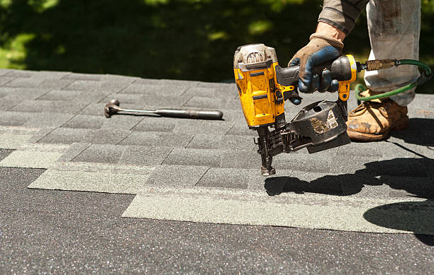 Best Storm Damage Roof Repair  in Stony Point, MI