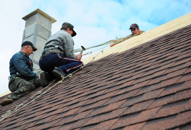 Best Roof Leak Repair  in Stony Point, MI